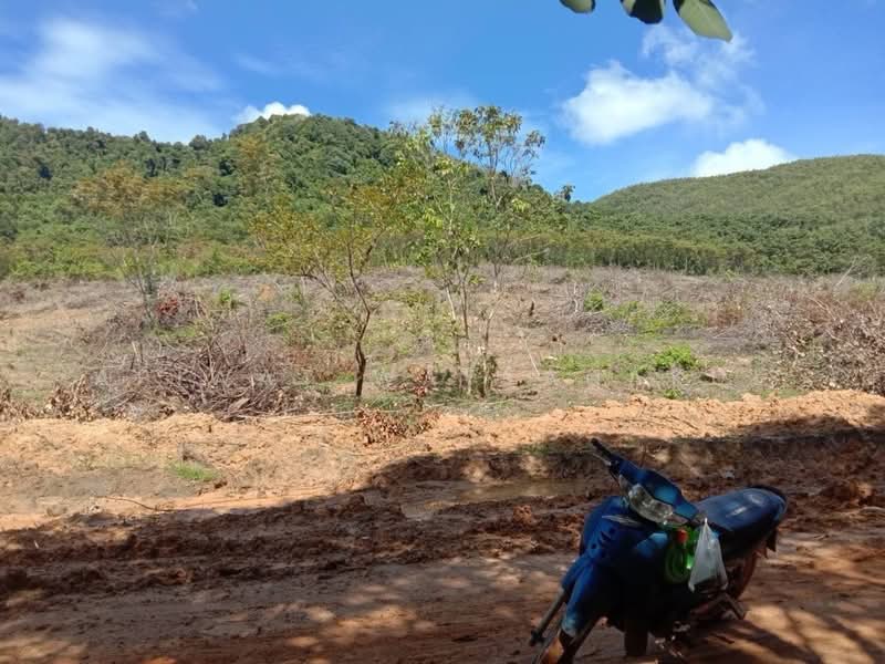 Koh Yao Yai Phang Nga Province, Phangnga, Ko Yao Yai, Ko Yao, Phangnga, , 41,840 sqm, Business For Sale, by Apiwat Wattanakul, 500324585 - DDproperty.com