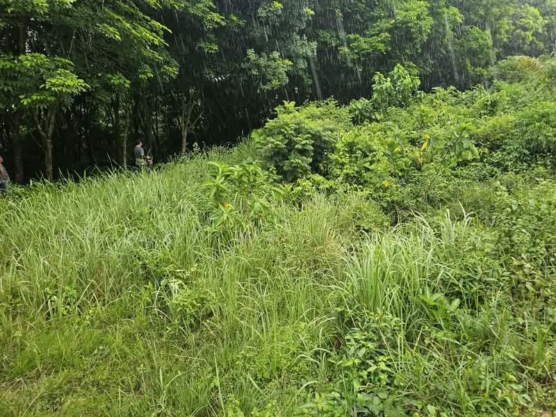 Koh Yao Yai Phang Nga Province, Phangnga, Ko Yao Yai, Ko Yao, Phangnga, , 41,840 sqm, Business For Sale, by Apiwat Wattanakul, 500324585 - DDproperty.com