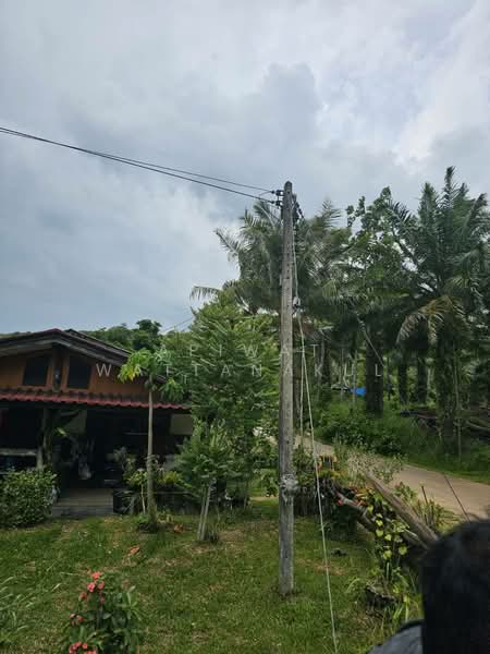 Koh Yao Yai Phang Nga Province, Phangnga, Ko Yao Yai, Ko Yao, Phangnga, , 41,840 sqm, Business For Sale, by Apiwat Wattanakul, 500324585 - DDproperty.com