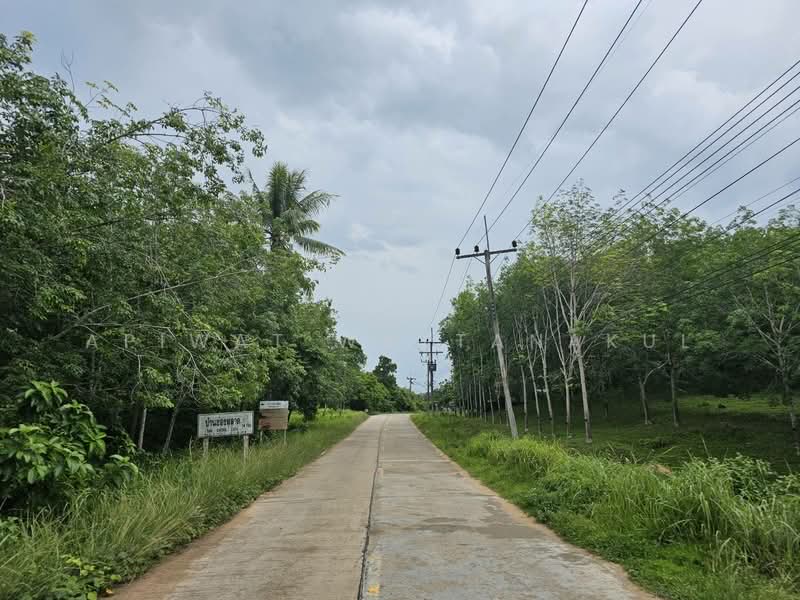 Koh Yao Yai Phang Nga Province, Phangnga, Ko Yao Yai, Ko Yao, Phangnga, , 41,840 sqm, Business For Sale, by Apiwat Wattanakul, 500324585 - DDproperty.com