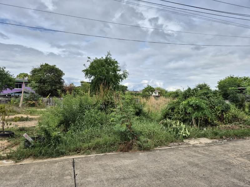 ซอยมาเจริญ1 แยก3-4, กรุงเทพ, มาเจริญ1 แยก3-4, หนองแขม, กรุงเทพ, 800 ตร.ม., ที่ดิน ขาย, โดย ฉัฐมณฑน์ หาบสา, 500324596 - DDproperty.com