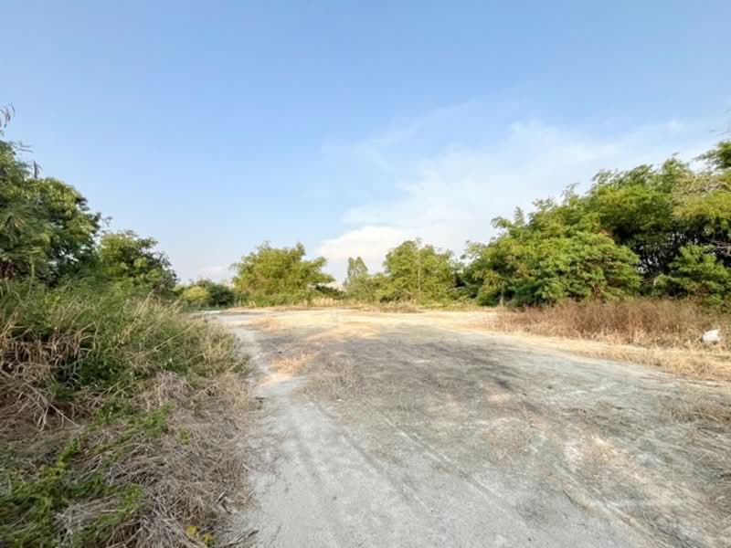 Land for Sale Nong Mai Daeng, Chonburi, Chon Buri (Pattaya), ถนนศิริรักษ์, Nong Mai Daeng, Muang Chon Buri, Chon Buri (Pattaya), , 5,332 sqm, Land For Sale, by ปูน, 500324630 - DDproperty.com