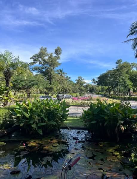 Land and Houses Park, Phuket, Chalong, Muang Phuket, Phuket, 3 Bedrooms, 280 sqm, Single Detached House For Rent, by Apichaya Jamjarat (Amanda), 500324662 - DDproperty.com