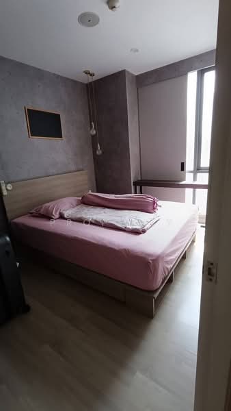 Sign Condo Sukhumvit 50, Bangkok, Phra Kanong, Khlong Toei, Bangkok, 1 Bedroom, 35 sqm, Condo For Rent, by Connex Property, 500324780 - DDproperty.com