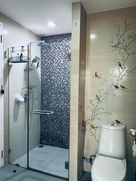 The Sense Sukhumvit, Bangkok, 8 Sukhumvit 68 Aly, Bang Na Nuea, Bang Na, Bangkok, 1 Bedroom, 45 sqm, Condo For Rent, by Connex Property, 500324785 - DDproperty.com
