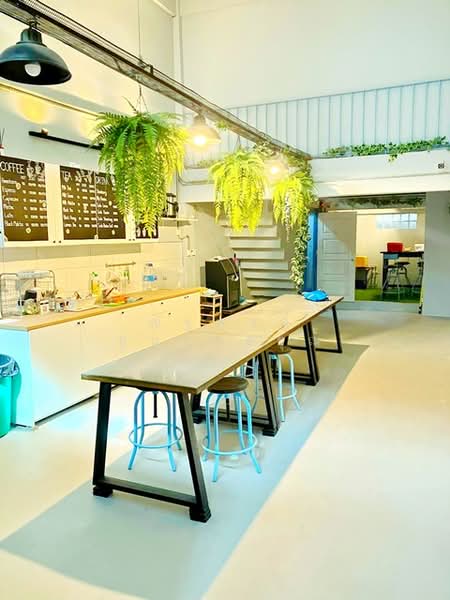 ไม่พบโครงการ, Bangkok, พหลโยธิน รัชดาภิเษก วิภาวดีรังสิต, Lat Yao, Chatuchak, Bangkok, 4 Bedrooms, 400 sqm, Townhouse For Rent, by ณัฐพงศ์ สุนทรอรุณ, 500324812 - DDproperty.com