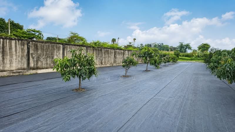 ขายที่ดิน 1 ไร่ ถนนเลียบคลองปทุม ทวีวัฒนา ทำเลดี ใกล้ตลาดเวิลด์มาร์เก็ต, กรุงเทพ, ทวีวัฒนา, กรุงเทพ, 1,600 ตร.ม., ที่ดิน ขาย, โดย คุณมิน, 500324887 - DDproperty.com