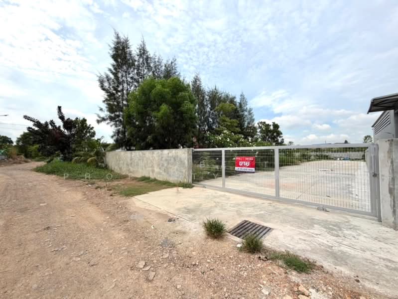 ที่ดินหนองจอก กรุงเทพมหานคร, กรุงเทพ, ลำผักชี, หนองจอก, กรุงเทพ, 800 ตร.ม., ที่ดิน ขาย, โดย The Best Property พลอย, 500324947 - DDproperty.com