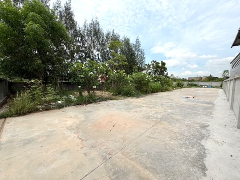 ที่ดินหนองจอก กรุงเทพมหานคร, กรุงเทพ, ลำผักชี, หนองจอก, กรุงเทพ, 800 ตร.ม., ที่ดิน ขาย, โดย The Best Property พลอย, 500324947 - DDproperty.com
