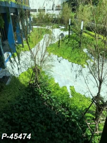 Lumpini Suite Phetchaburi-Makkasan : ลุมพินี สวีท เพชรบุรี-มักกะสัน, กรุงเทพ, 1515 ถ. เพชรบุรี, มักกะสัน, ราชเทวี, กรุงเทพ, 27 ตร.ม., คอนโด ให้เช่า, โดย Susira Preuksawun, 500325140 - DDproperty.com