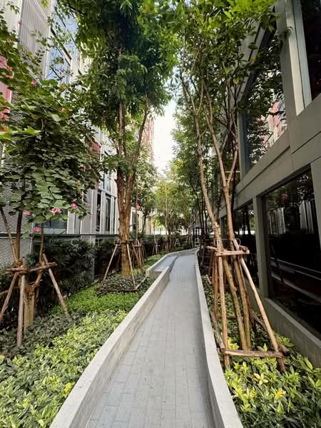 Taka Haus : ทากะ เฮาส์, กรุงเทพ, 99 ซอยเอกมัย 10, คลองตันเหนือ, วัฒนา, กรุงเทพ, 36 ตร.ม., คอนโด ให้เช่า, โดย Sutavee Chonlabud, 500325261 - DDproperty.com