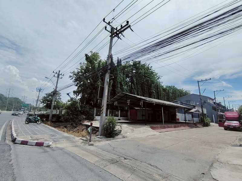 ที่ดิน+โครงสร้าง ติดถนนติวานนท์-ปทุมธานี, Pathum Thani, Ban Mai, Muang Pathum Thani, Pathum Thani, , 424 sqm, Land For Sale, by นันธิกา ศรีสุวรรณ, 500325307 - DDproperty.com
