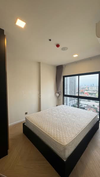 Modiz Collection BangPho, Bangkok, Pracharat Sai 1 Road, Bang Sue, Bangkok, 1 Bedroom, 29 sqm, Condo For Rent, by Tanakrit Chotbuddkayan, 500325474 - DDproperty.com