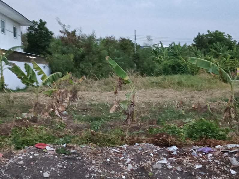 Chaiyapruek Bangna Km 15 : ชัยพฤกษ์ บางนา กม 15, สมุทรปราการ, 234 หมู่ 3 กม.15 ถนนบางนา-ตราด กม.15, บางโฉลง, บางพลี, สมุทรปราการ, 408 ตร.ม., ที่ดิน ขาย, โดย Chisa Suttiworakan, 500325676 - DDproperty.com