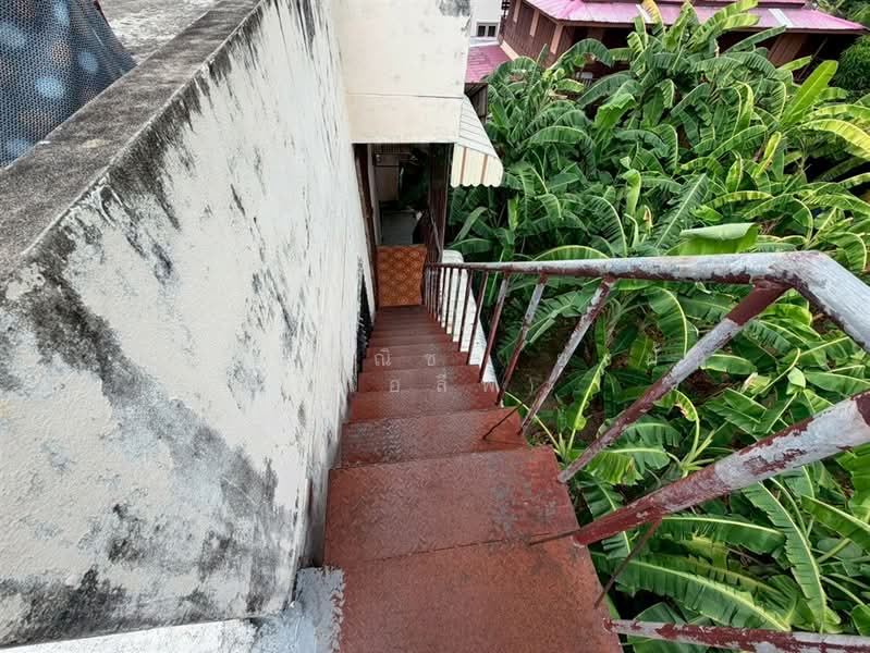 ห้องเช่า 2 ชั้น 97 ตร.ว. หมู่บ้านชุมชนแอนเน็กซ์ ซอยพหลโยธิน58, Bangkok, ถนนพหลโยธิน, Sai Mai, Bangkok, , 350 sqm, Business For Sale, by คุณ ธัญณิชา ยะฝั้น (โอลีฟ), 500325779 - DDproperty.com