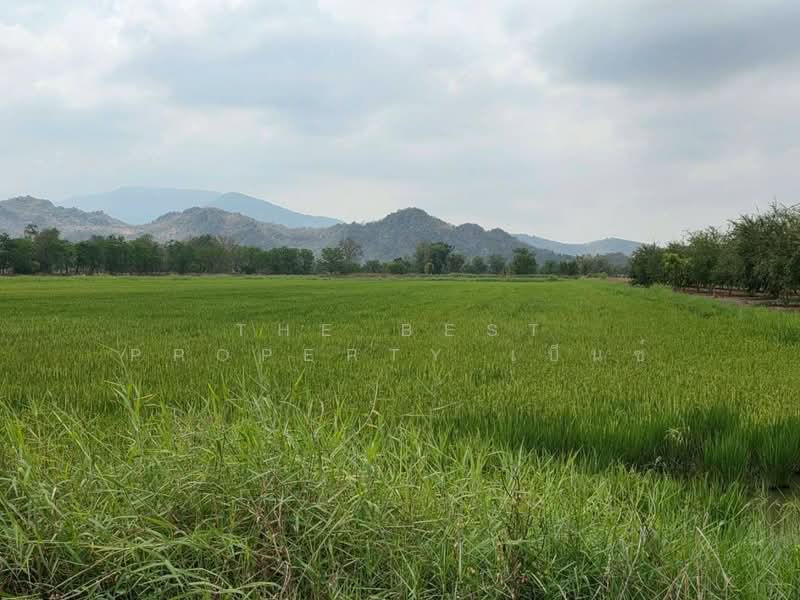 ที่ดินหนองกรด นครสวรรค์, นครสวรรค์, หนองกรด, เมืองนครสวรรค์, นครสวรรค์, 12,868 ตร.ม., ที่ดิน ขาย, โดย The Best Property เบ็นซ์, 500325865 - DDproperty.com