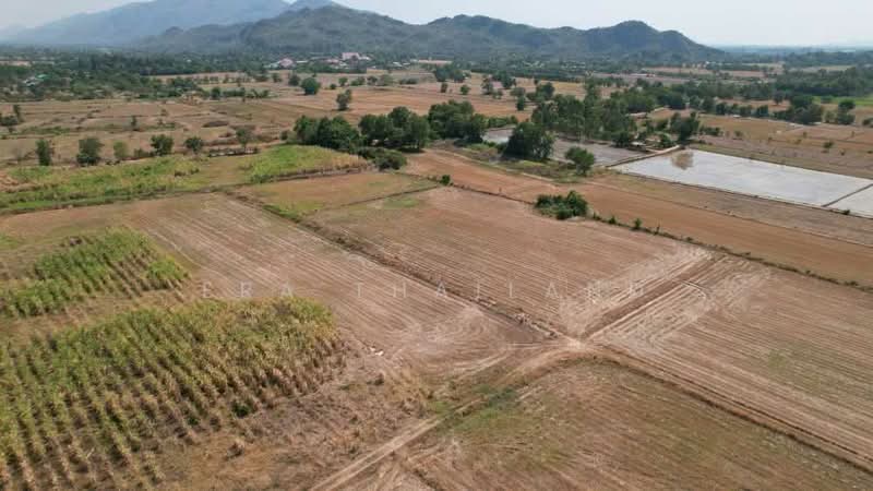 หนองกรด, นครสวรรค์, หนองกรด, เมืองนครสวรรค์, นครสวรรค์, 112,664 ตร.ม., ที่ดิน ขาย, โดย ERA Thailand, 500325942 - DDproperty.com