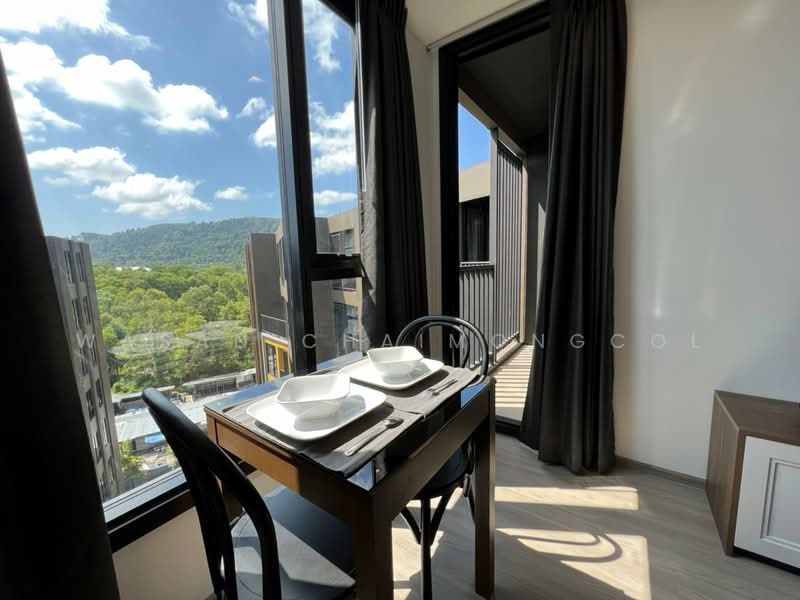 The Base Central, Phuket, Chao Fah Tawan Tok Rd, Wichit, Muang Phuket, Phuket, 1 Bedroom, 31 sqm, Condo For Rent, by Wasan Chaimongcol, 500325969 - DDproperty.com