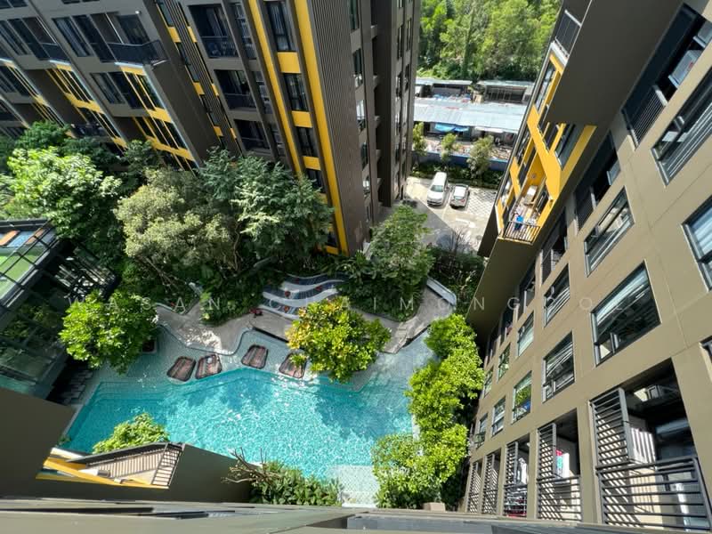 The Base Central, Phuket, Chao Fah Tawan Tok Rd, Wichit, Muang Phuket, Phuket, 1 Bedroom, 31 sqm, Condo For Rent, by Wasan Chaimongcol, 500325969 - DDproperty.com
