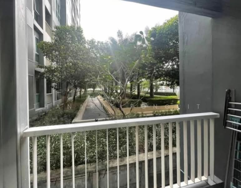 Rhythm Sukhumvit 50, Bangkok, 8 Sukhumvit 50, Sukhumvit Road, Phra Kanong, Khlong Toei, Bangkok, 1 Bedroom, 35 sqm, Condo For Rent, by Thanakit Pongpit, 500326003 - DDproperty.com