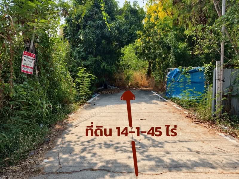 ที่ดินลาดหลุมแก้ว ปทุมธานี, ปทุมธานี, คูบางหลวง, ลาดหลุมแก้ว, ปทุมธานี, 22,980 ตร.ม., ที่ดิน ขาย, โดย The Best Property จอย, 500326082 - DDproperty.com