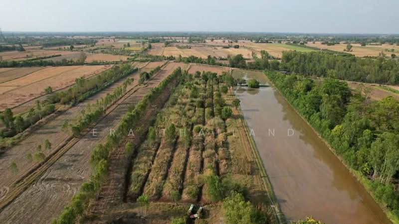 ขายที่ดินผืนใหญ่ ศักยภาพสูง 40 ไร่เศษ สลกบาตร, Kamphaeng Phet, Salok Bat, Khanu Woralaksaburi, Kamphaeng Phet, , 64,220 sqm, Land For Sale, by ERA Thailand, 500326117 - DDproperty.com