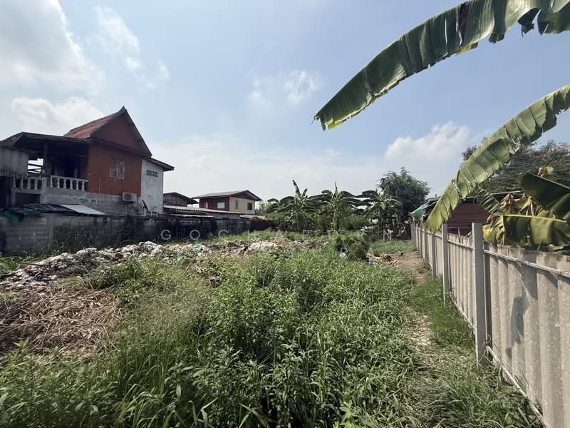 ขายที่ดินเปล่า 1 งาน ที่ดิน ใกล้รถไฟฟ้า สถานีหลักหก, ปทุมธานี, พหลโยธิน 87 ซอย 10 แยก 6, ประชาธิปัตย์, ธัญบุรี, ปทุมธานี, 400 ตร.ม., ที่ดิน ขาย, โดย Gochaporn Fongsupa, 500326152 - DDproperty.com