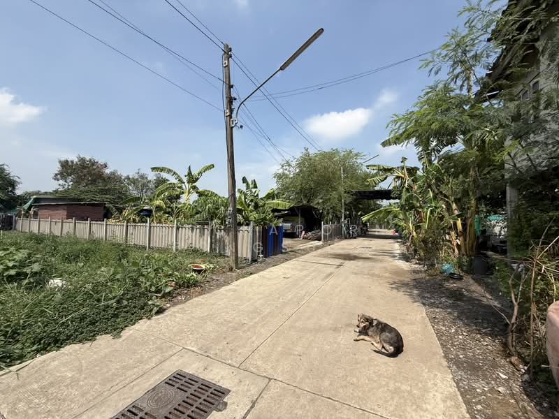 Land for sale near BTS, Pathum Thani, พหลโยธิน 87 ซอย 10 แยก 6, Prachathipat, Thanyaburi, Pathum Thani, , 400 sqm, Land For Sale, by Gochaporn Fongsupa, 500326152 - DDproperty.com