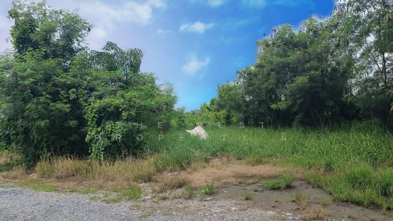 ที่ดินคลองสามวา กรุงเทพมหานคร, Bangkok, Sai Kong Din, Khlong Sam Wa, Bangkok, , 400 sqm, Land For Sale, by The Best Property นิ, 500326241 - DDproperty.com