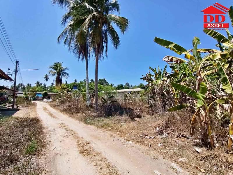 ขายที่ดินติดถนน ใกล้ รพ.สิชล จ.นครศรีธรรมราช, นครศรีธรรมราช, สิชล, นครศรีธรรมราช, 3,200 ตร.ม., พื้นที่ขายของ ขาย, โดย DD Asset (Thailand) Co.,Ltd, 500326314 - DDproperty.com