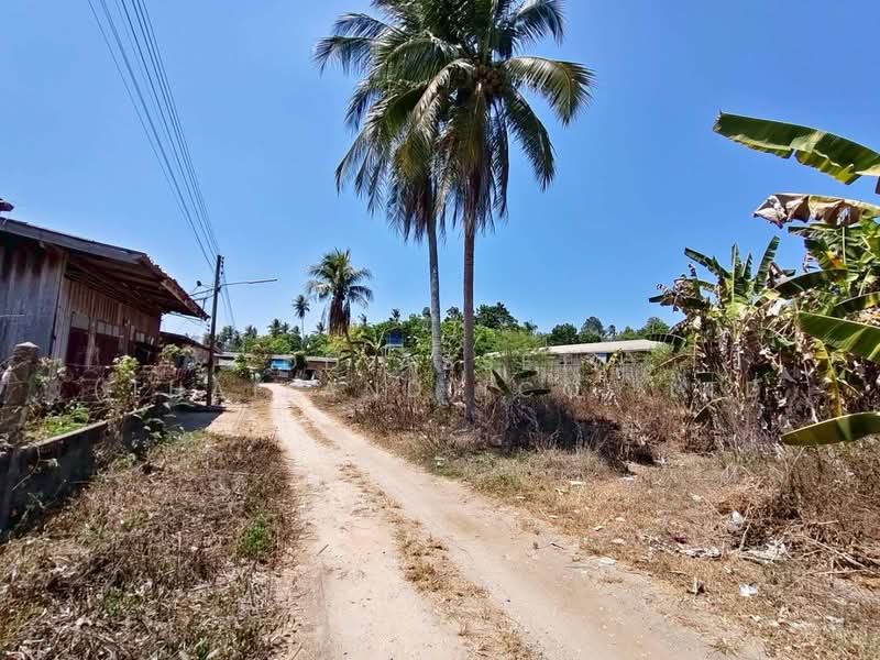ขายที่ดินติดถนน ใกล้ รพ.สิชล จ.นครศรีธรรมราช, นครศรีธรรมราช, สิชล, นครศรีธรรมราช, 3,200 ตร.ม., พื้นที่ขายของ ขาย, โดย DD Asset (Thailand) Co.,Ltd, 500326314 - DDproperty.com