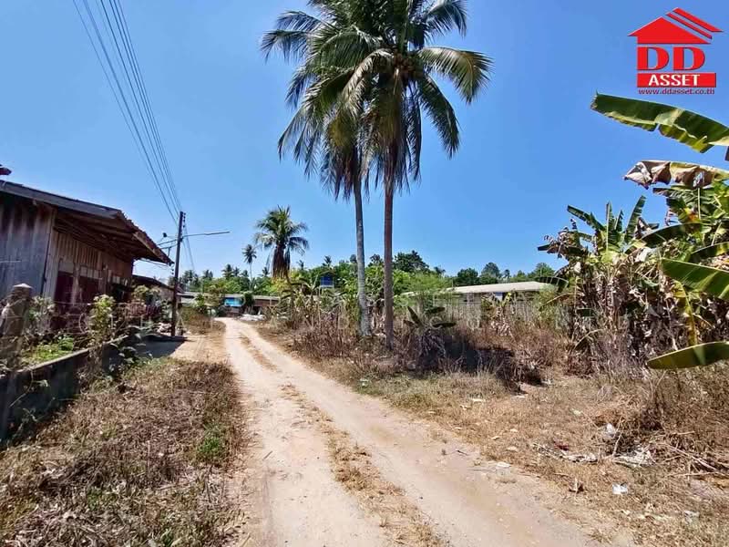 ขายที่ดินติดถนน ใกล้ รพ.สิชล จ.นครศรีธรรมราช, นครศรีธรรมราช, สิชล, นครศรีธรรมราช, 3,200 ตร.ม., พื้นที่ขายของ ขาย, โดย DD Asset (Thailand) Co.,Ltd, 500326314 - DDproperty.com