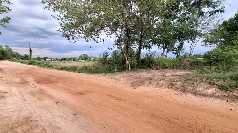 ที่ดินโพนทอง ร้อยเอ็ด, Roi Et, Sra Nok Kaeo, Phon Thong, Roi Et, , 464 sqm, Land For Sale, by The Best Property ทองใบ, 500326418 - DDproperty.com