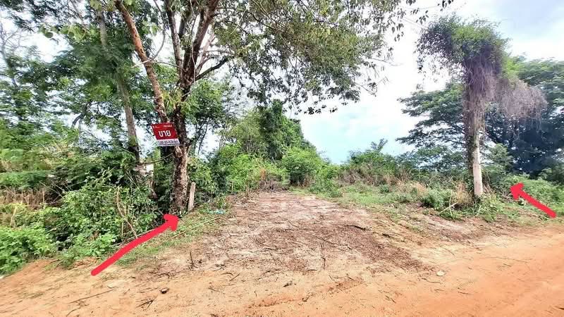 ที่ดินโพนทอง ร้อยเอ็ด, Roi Et, Sra Nok Kaeo, Phon Thong, Roi Et, , 464 sqm, Land For Sale, by The Best Property ทองใบ, 500326418 - DDproperty.com