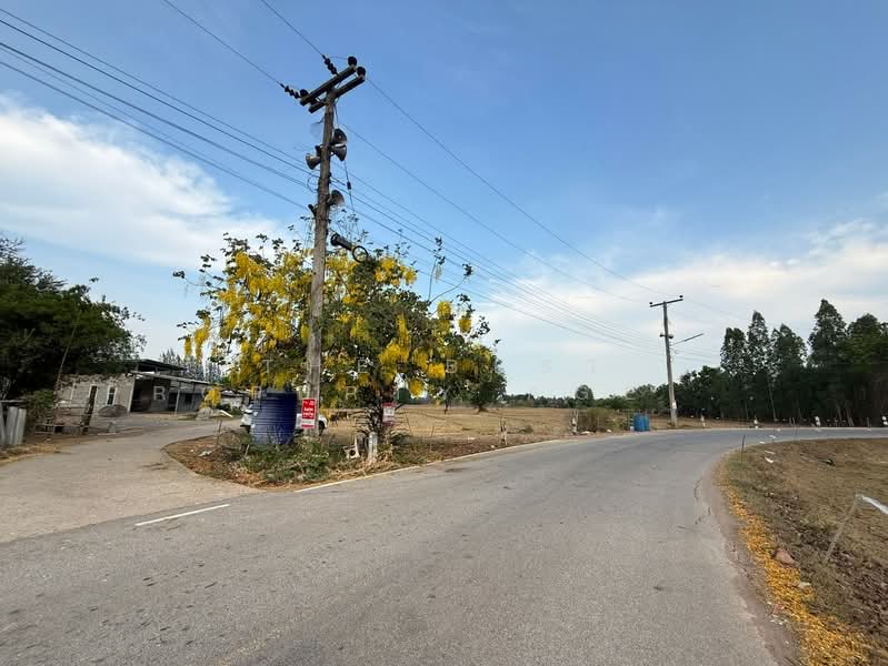 ที่ดินหินกอง ราชบุรี, Ratchaburi, Hin Kong, Muang Ratchaburi, Ratchaburi, , 38,876 sqm, Land For Sale, by The Best Property Agent ดาด้า, 500326437 - DDproperty.com