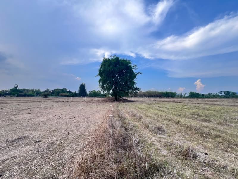 ที่ดินหินกอง ราชบุรี, ราชบุรี, หินกอง, เมืองราชบุรี, ราชบุรี, 38,876 ตร.ม., ที่ดิน ขาย, โดย The Best Property Agent ดาด้า, 500326437 - DDproperty.com