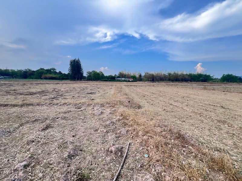 ที่ดินหินกอง ราชบุรี, Ratchaburi, Hin Kong, Muang Ratchaburi, Ratchaburi, , 38,876 sqm, Land For Sale, by The Best Property Agent ดาด้า, 500326437 - DDproperty.com