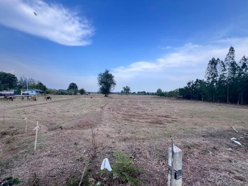 ที่ดินหินกอง ราชบุรี, Ratchaburi, Hin Kong, Muang Ratchaburi, Ratchaburi, , 38,876 sqm, Land For Sale, by The Best Property Agent ดาด้า, 500326437 - DDproperty.com
