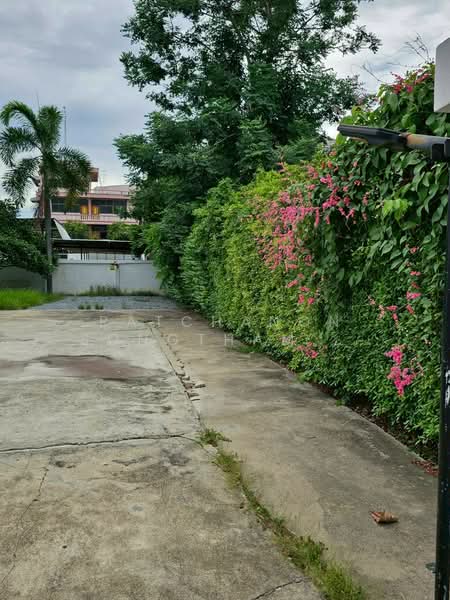 5-BR House, Bangkok, Lat Phrao, Bangkok, 5 Bedrooms, 495 sqm, Single Detached House For Rent, by Ratchanon Songthammakul, 500326470 - DDproperty.com