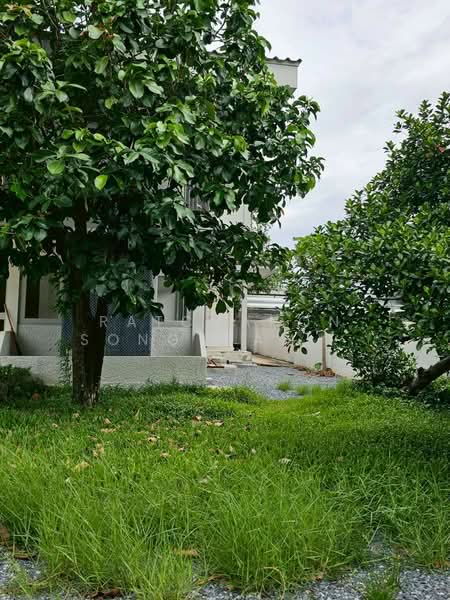 5-BR House, Bangkok, Lat Phrao, Bangkok, 5 Bedrooms, 495 sqm, Single Detached House For Rent, by Ratchanon Songthammakul, 500326470 - DDproperty.com