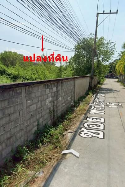 ที่ดินถมแล้ว สยามเอ็กเซกคิวทีฟ วิลล่า พัทยา (Siam Executive Villas) หนองปรือ, ชลบุรี, หนองปรือ, บางละมุง, ชลบุรี, 552 ตร.ม., ที่ดิน ขาย, โดย ERA Thailand, 500326477 - DDproperty.com