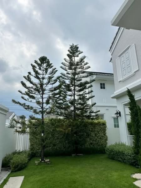 Chaiyapruek Bangna Km 15, Samut Prakan, 234 Moo 3 Km.15 Bangna-Trad Road Km.15, Bang Chalong, Bang Plee, Samut Prakan, 3 Bedrooms, 268 sqm, Single Detached House For Rent, by Ratchanon Songthammakul, 500326488 - DDproperty.com