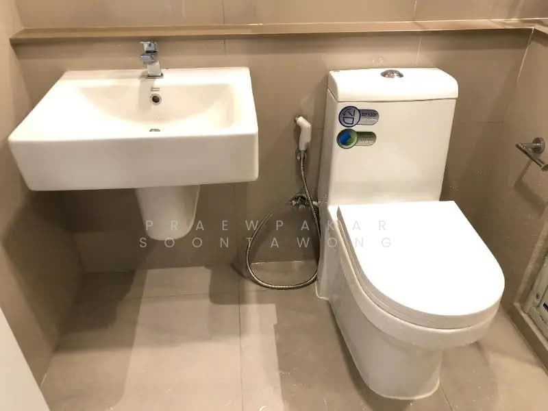 The Tree Sukhumvit 71-Ekamai, Bangkok, 1269 Sukhumvit 71 Road, Suan Luang, Bangkok, 1 Bedroom, 31 sqm, Condo For Rent, by Praewpakar Soontawong, 500326508 - DDproperty.com