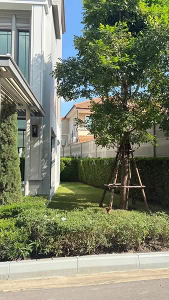 Baan Klang Muang Classe Sukhumvit 77 : บ้านกลางเมือง คลาสเซ่ สุขุมวิท 77, กรุงเทพ, ซอยอ่อนนุช 21, สวนหลวง, กรุงเทพ, 214 ตร.ม., บ้านเดี่ยว ให้เช่า, โดย Vinai  Wattana, 500326606 - DDproperty.com
