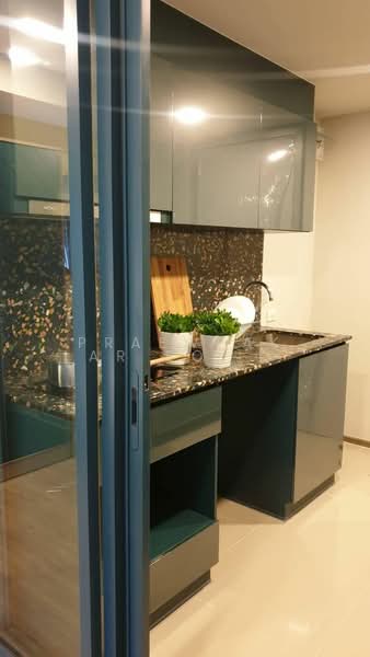 The Base Sukhumvit 50, Bangkok, Soi Roem Charoen 1, Sukhumvit 50 Road, Phra Kanong, Khlong Toei, Bangkok, 1 Bedroom, 26 sqm, Condo For Rent, by Praewpakar Soontawong, 500326607 - DDproperty.com