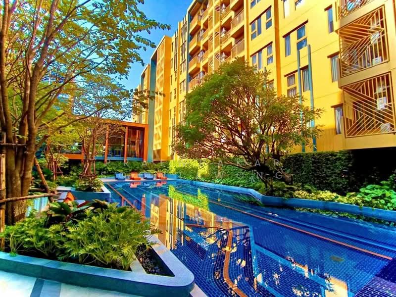 The Base Sukhumvit 50, Bangkok, Soi Roem Charoen 1, Sukhumvit 50 Road, Phra Kanong, Khlong Toei, Bangkok, 1 Bedroom, 26 sqm, Condo For Rent, by Praewpakar Soontawong, 500326607 - DDproperty.com