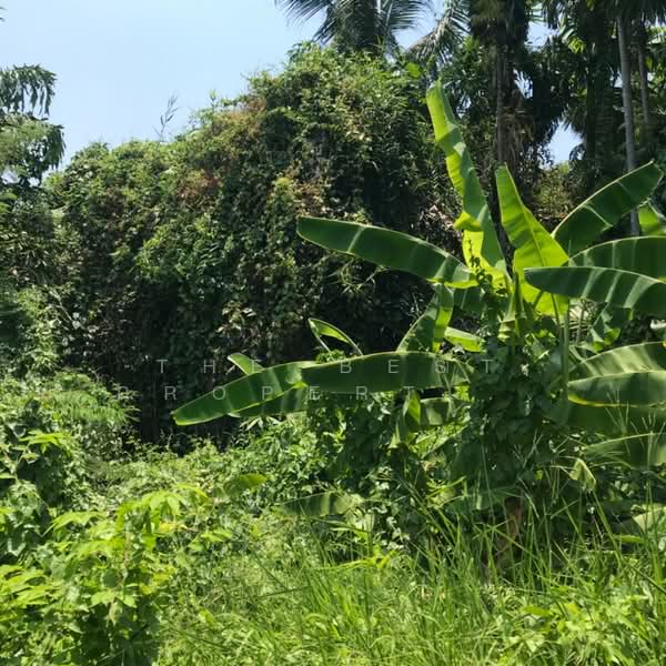 ที่ดินตลาดขวัญ นนทบุรี, Nonthaburi, Talat Kwan, Muang Nonthaburi, Nonthaburi, , 328 sqm, Land For Sale, by The Best Property ออฟ, 500326614 - DDproperty.com