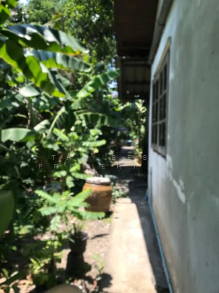 ที่ดินตลาดขวัญ นนทบุรี, Nonthaburi, Talat Kwan, Muang Nonthaburi, Nonthaburi, , 328 sqm, Land For Sale, by The Best Property ออฟ, 500326614 - DDproperty.com