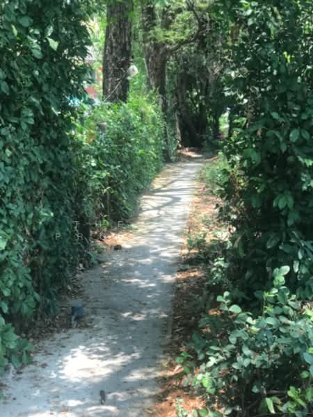 ที่ดินตลาดขวัญ นนทบุรี, Nonthaburi, Talat Kwan, Muang Nonthaburi, Nonthaburi, , 328 sqm, Land For Sale, by The Best Property ออฟ, 500326614 - DDproperty.com