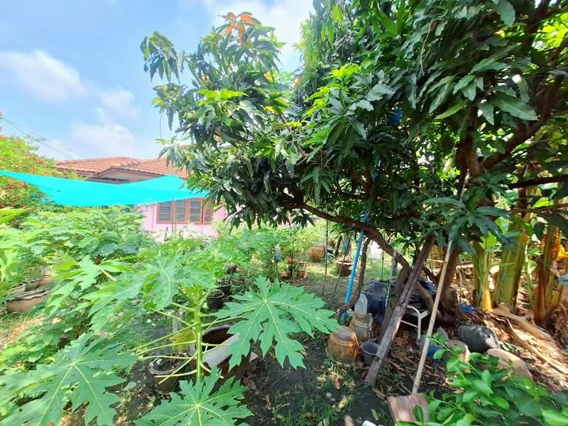 พฤกษา 3, Nonthaburi, Bang Khu Rat, Bang Bua Thong, Nonthaburi, 3 Bedrooms, 200 sqm, Single Detached House For Sale, by กรณวัสส์ กัณฑวัสส์วงส์, 500326619 - DDproperty.com